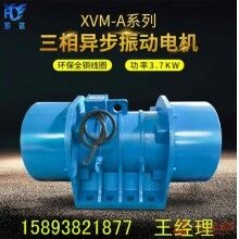 XV-40-6振動(dòng)電機(jī) XV慣性振動(dòng)器