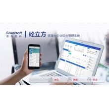 攪拌站系統(tǒng)軟件有哪些？思偉軟件砼行APP