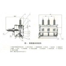 ZW20-12F戶外用戶分界智能斷路器